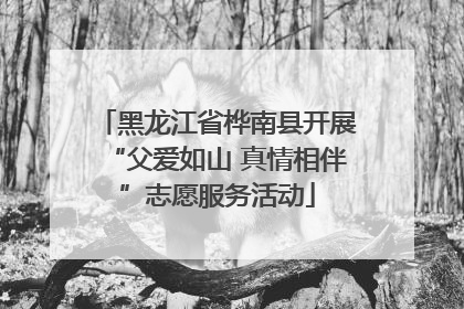 黑龙江省桦南县开展“父爱如山 真情相伴”志愿服务活动