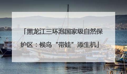 黑龙江三环泡国家级自然保护区：候鸟“带娃”添生机