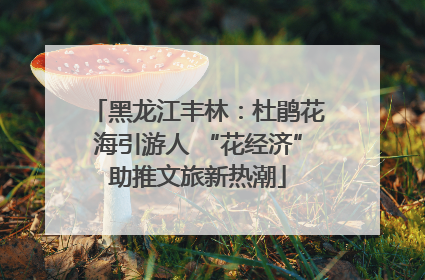 黑龙江丰林：杜鹃花海引游人 “花经济”助推文旅新热潮