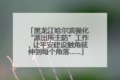 黑龙江哈尔滨强化“派出所主防”工作，让平安建设触角延伸到每个角落……
