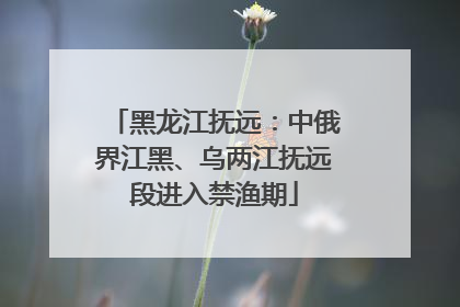 黑龙江抚远：中俄界江黑、乌两江抚远段进入禁渔期