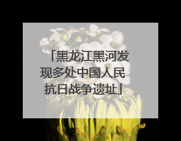 黑龙江黑河发现多处中国人民抗日战争遗址