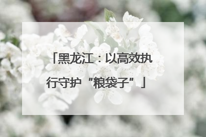 黑龙江：以高效执行守护“粮袋子”