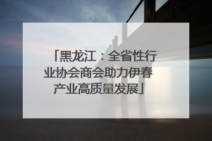 黑龙江：全省性行业协会商会助力伊春产业高质量发展