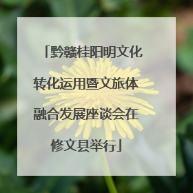 黔赣桂阳明文化转化运用暨文旅体融合发展座谈会在修文县举行