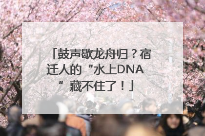 鼓声歇龙舟归？宿迁人的“水上DNA”藏不住了！