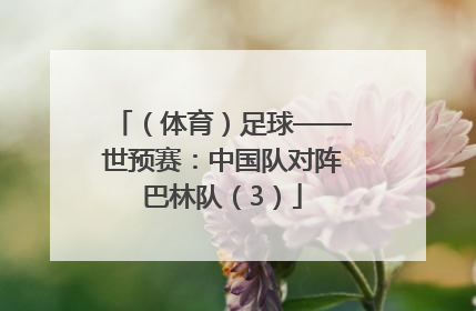（体育）足球——世预赛：中国队对阵巴林队（3）