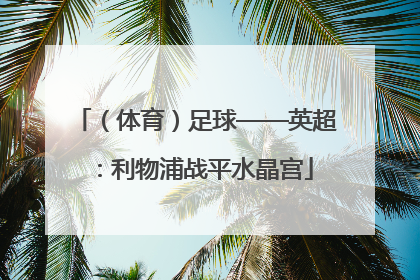 （体育）足球——英超：利物浦战平水晶宫