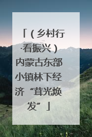 （乡村行·看振兴）内蒙古东部小镇林下经济“茸光焕发”
