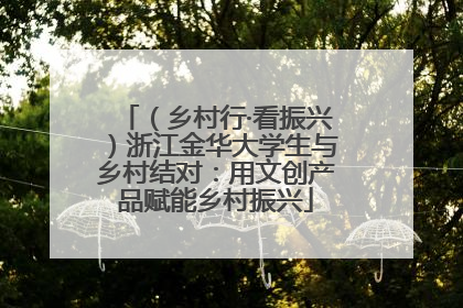 （乡村行·看振兴）浙江金华大学生与乡村结对：用文创产品赋能乡村振兴