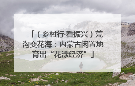 （乡村行·看振兴）荒沟变花海：内蒙古闲置地育出“花漾经济”
