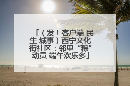 （发！客户端 民生 城事）西宁文化街社区：邻里“粽”动员 端午欢乐多
