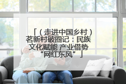 （走进中国乡村）茗新村破圈记：民族文化赋能 产业借势 “网红东风”