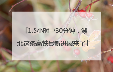 1.5小时→30分钟，湖北这条高铁最新进展来了