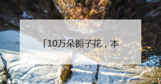10万朵栀子花，本周末这些地方免费领