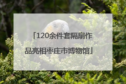 120余件套隔扇作品亮相枣庄市博物馆