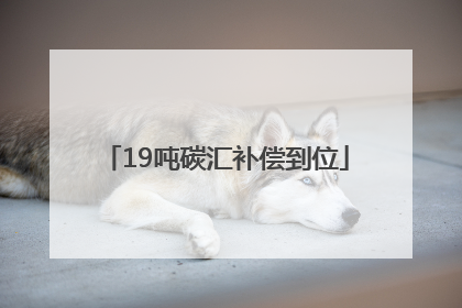 19吨碳汇补偿到位