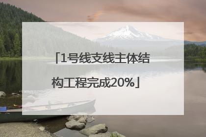 1号线支线主体结构工程完成20%