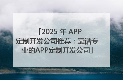2025 年 APP 定制开发公司推荐：靠谱专业的APP定制开发公司