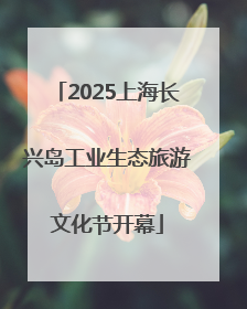 2025上海长兴岛工业生态旅游文化节开幕