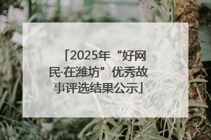 2025年“好网民·在潍坊”优秀故事评选结果公示