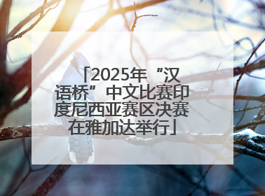 2025年“汉语桥”中文比赛印度尼西亚赛区决赛在雅加达举行