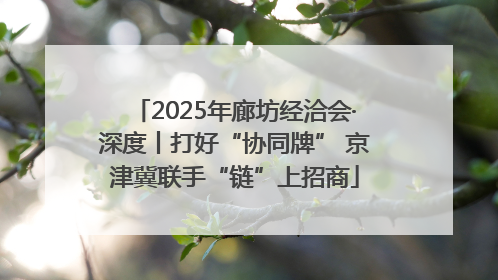 2025年廊坊经洽会·深度丨打好“协同牌” 京津冀联手“链”上招商