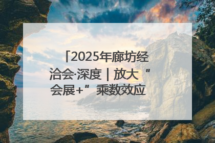 2025年廊坊经洽会·深度｜放大“会展+”乘数效应 打造消费新场景