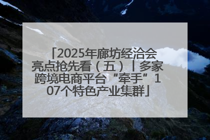 2025年廊坊经洽会亮点抢先看（五）丨多家跨境电商平台“牵手”107个特色产业集群