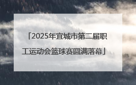 2025年宜城市第二届职工运动会篮球赛圆满落幕