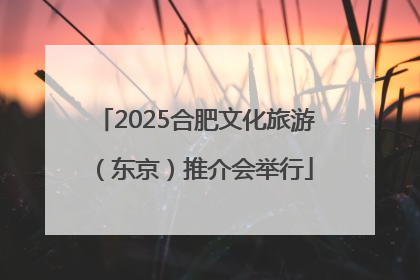 2025合肥文化旅游（东京）推介会举行