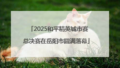 2025和平精英城市赛总决赛在岳阳市圆满落幕