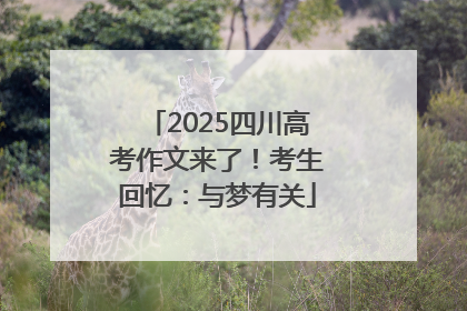 2025四川高考作文来了！考生回忆：与梦有关