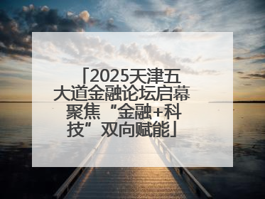 2025天津五大道金融论坛启幕 聚焦“金融+科技”双向赋能