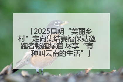 2025昆明“美丽乡村”定向集结赛福保站邀跑者畅跑绿道 尽享“有一种叫云南的生活”