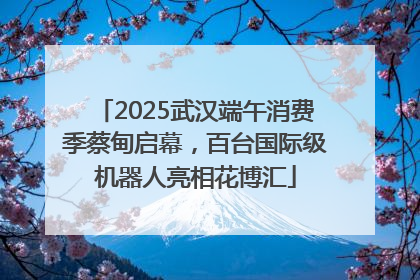2025武汉端午消费季蔡甸启幕，百台国际级机器人亮相花博汇