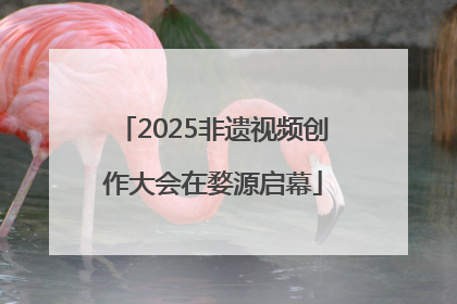 2025非遗视频创作大会在婺源启幕