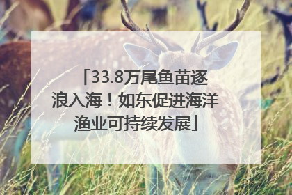 33.8万尾鱼苗逐浪入海！如东促进海洋渔业可持续发展