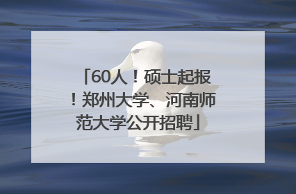 60人！硕士起报！郑州大学、河南师范大学公开招聘