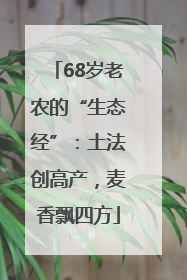 68岁老农的“生态经”：土法创高产，麦香飘四方