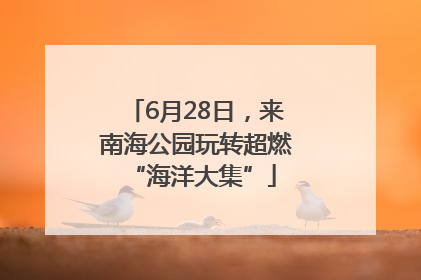 6月28日，来南海公园玩转超燃 “海洋大集”