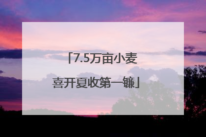 7.5万亩小麦喜开夏收第一镰