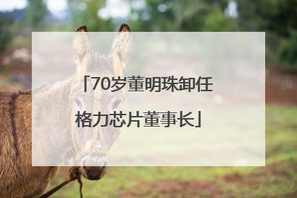 70岁董明珠卸任格力芯片董事长