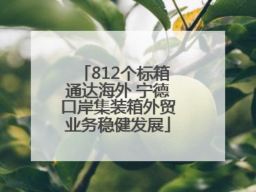 812个标箱通达海外 宁德口岸集装箱外贸业务稳健发展