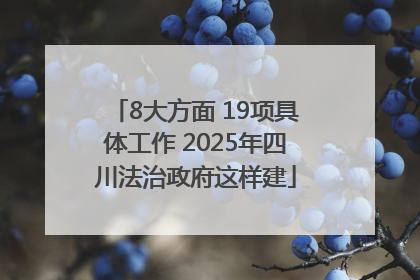 8大方面 19项具体工作 2025年四川法治政府这样建