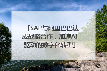 SAP与阿里巴巴达成战略合作，加速AI驱动的数字化转型