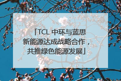 TCL 中环与蓝思新能源达成战略合作，共推绿色能源发展
