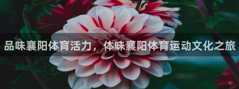 01体育赛事：品味襄阳体育活力，体味襄阳体育运动文化之旅