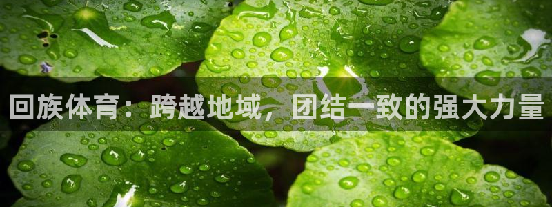 01体育App下载：回族体育：跨越地域，团结一致的强大力量